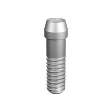 Prosthetic Screw