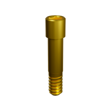 Prosthetic Screw