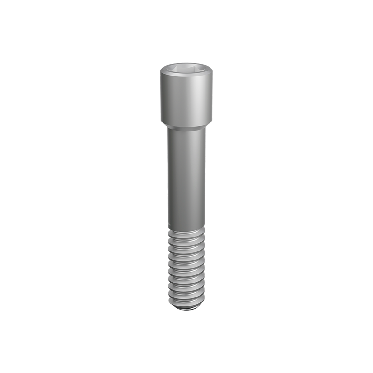 Prosthetic Screw