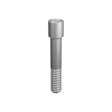 Prosthetic Screw