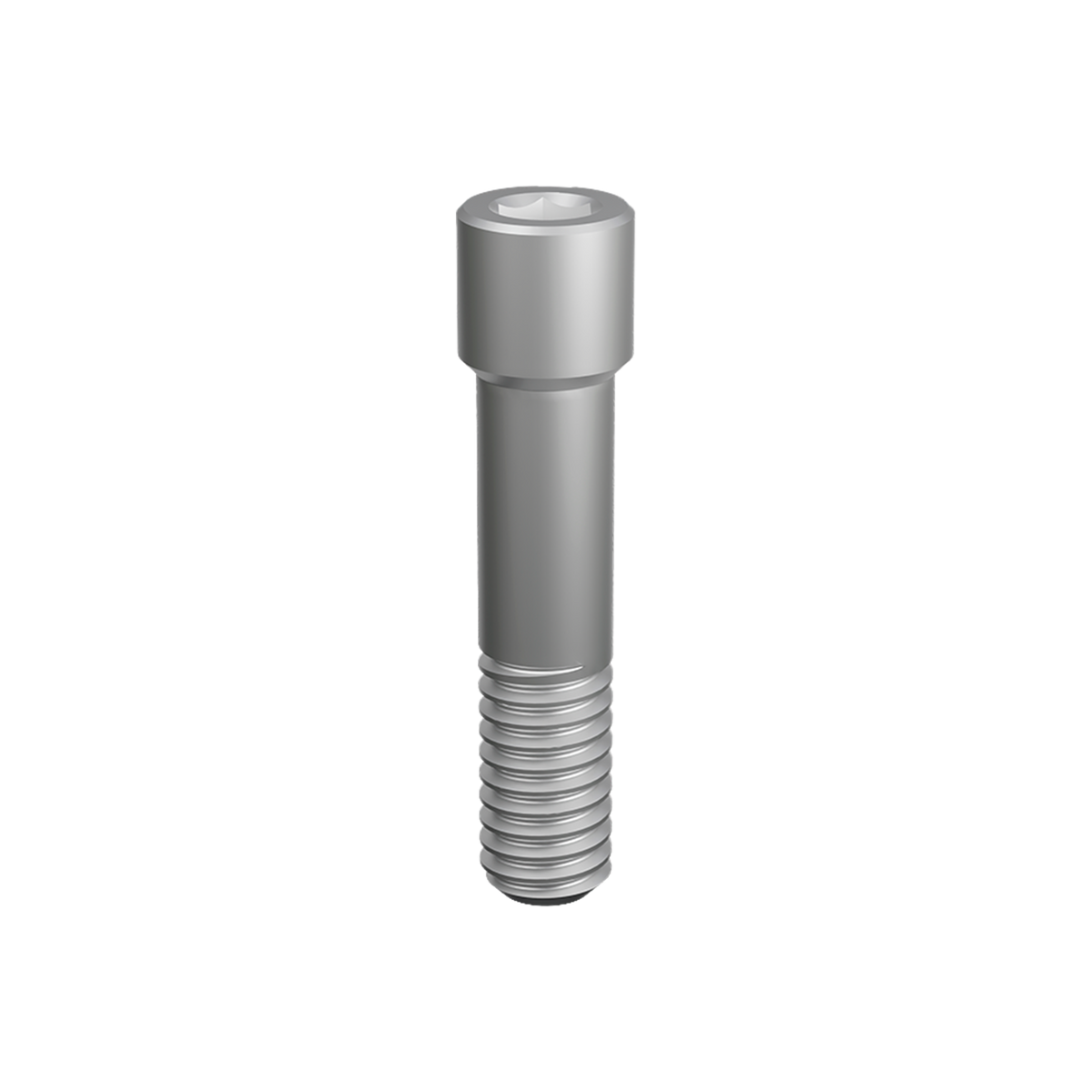 Prosthetic Screw