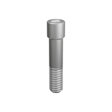 Prosthetic Screw