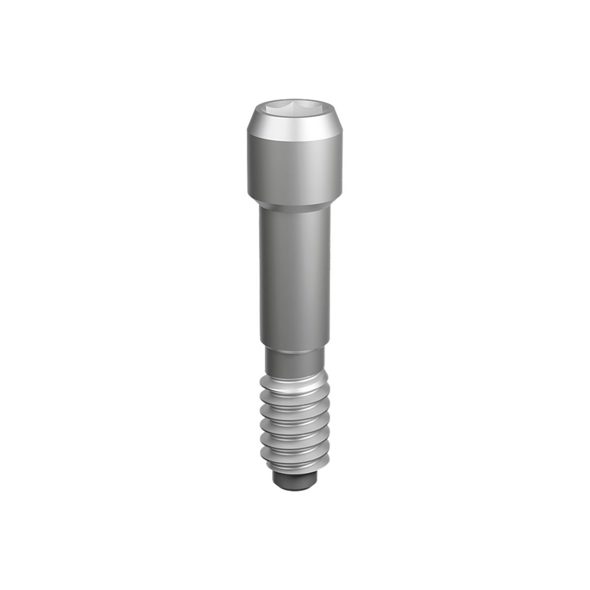 Prosthetic Screw