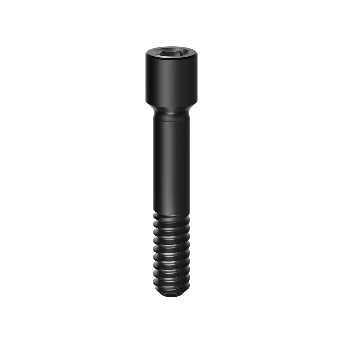 Prosthetic Screw