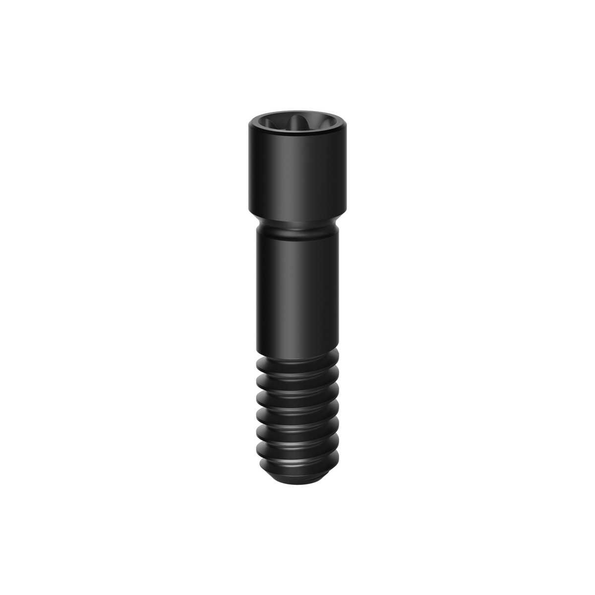 Prosthetic Screw