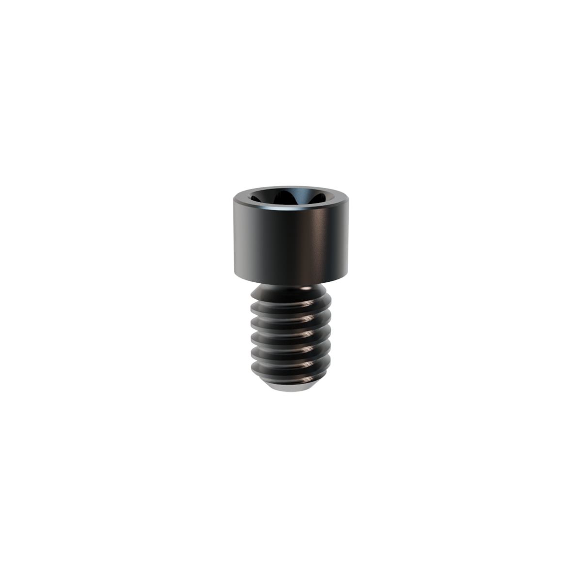 Prosthetic Screw