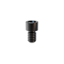 Prosthetic Screw