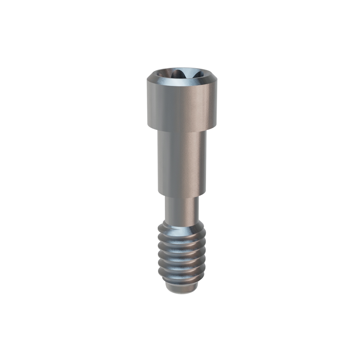 Prosthetic Screw