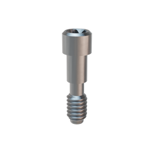 Prosthetic Screw