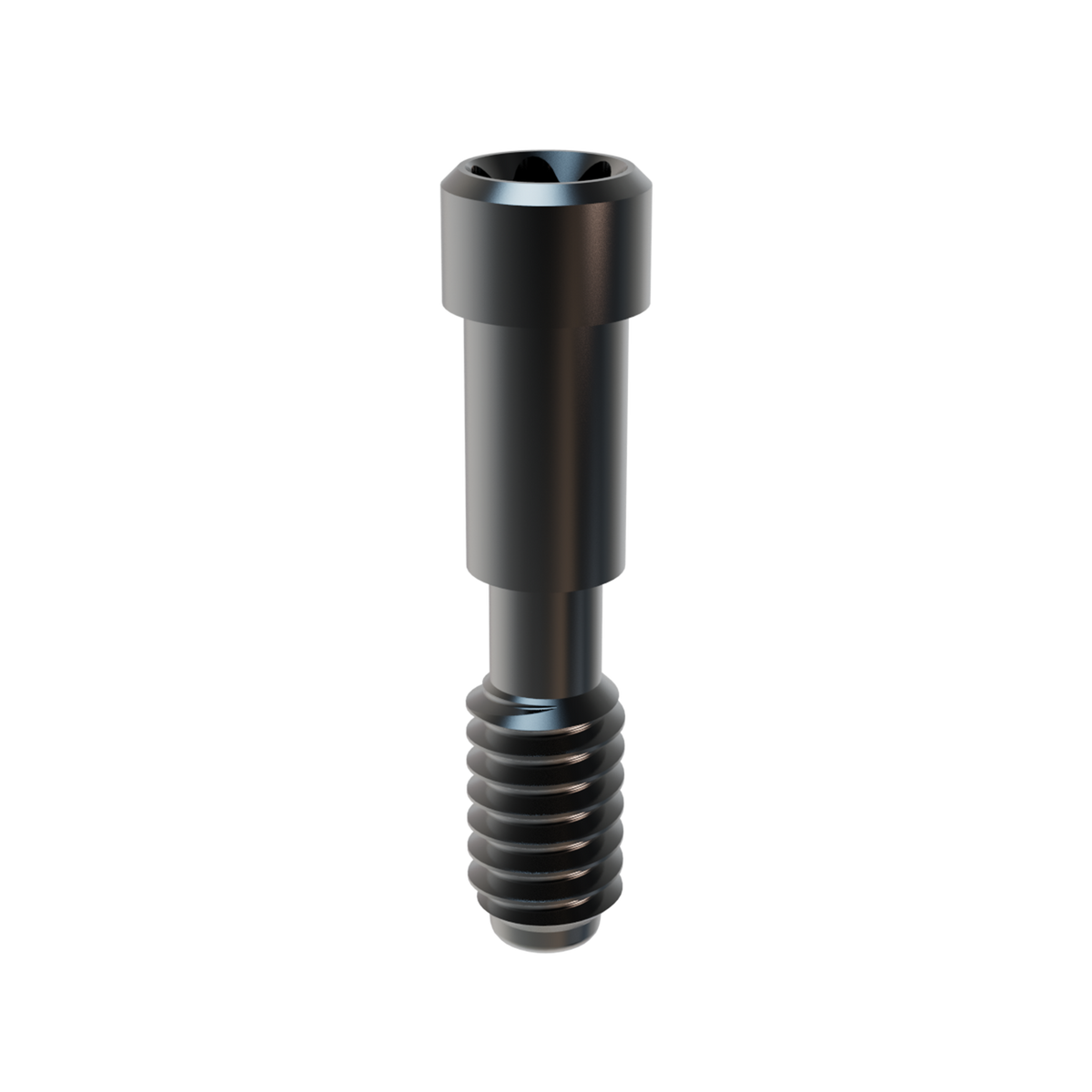 Prosthetic Screw