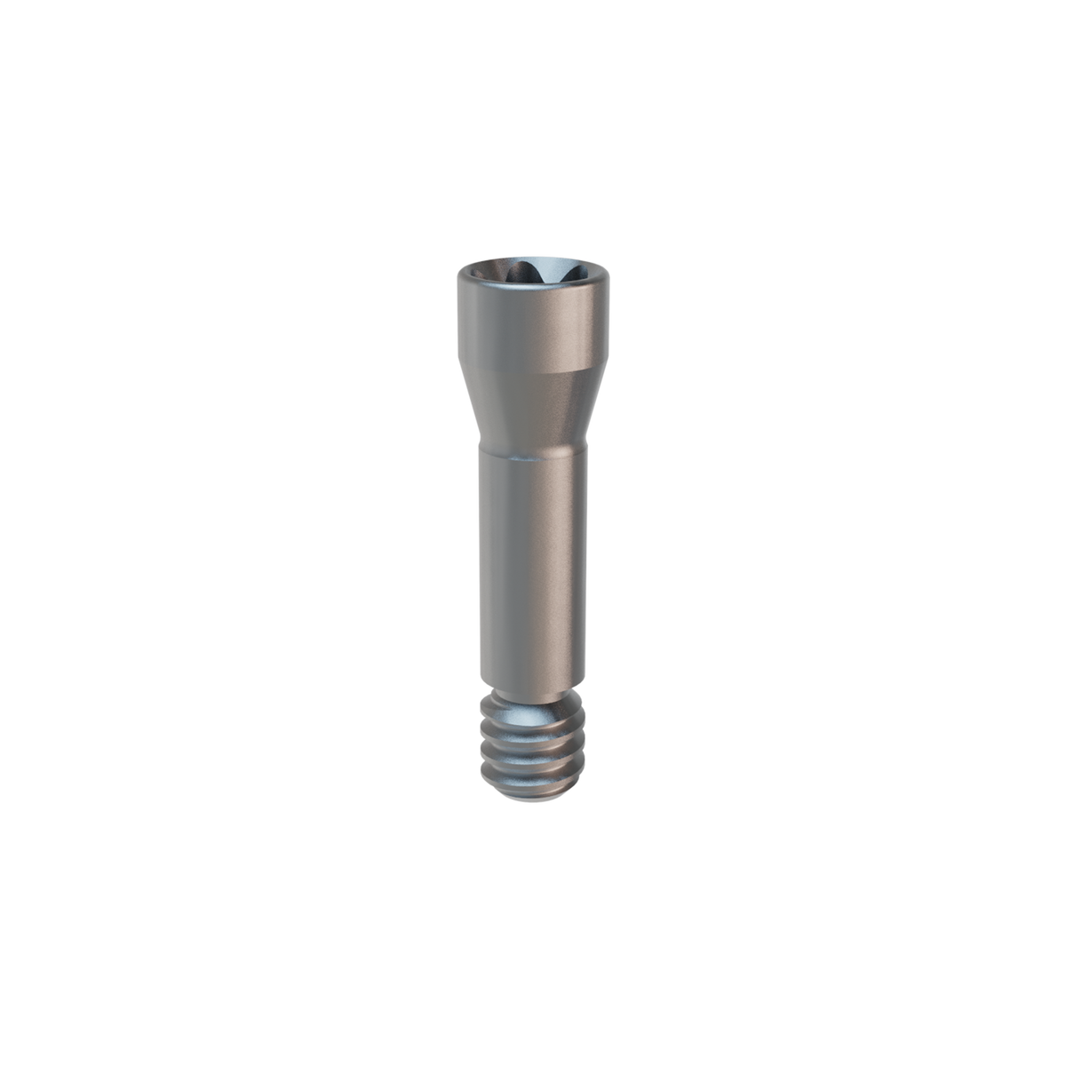 Prosthetic Screw