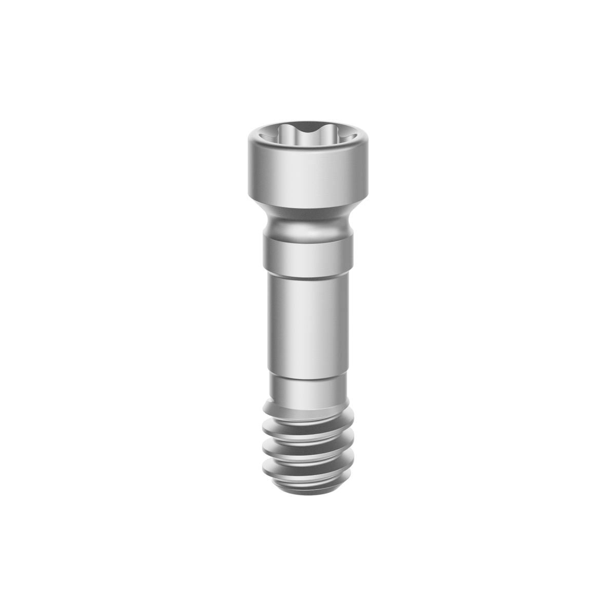 Prosthetic Screw