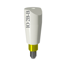IO Scan Body - IO 2B-B