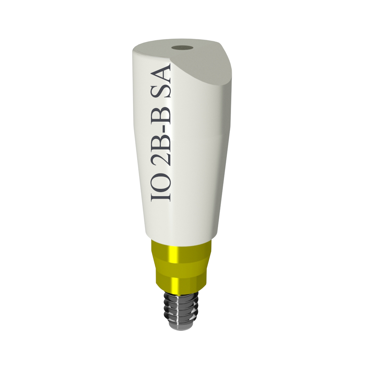 IO Scan Body - IO 2B-B SA